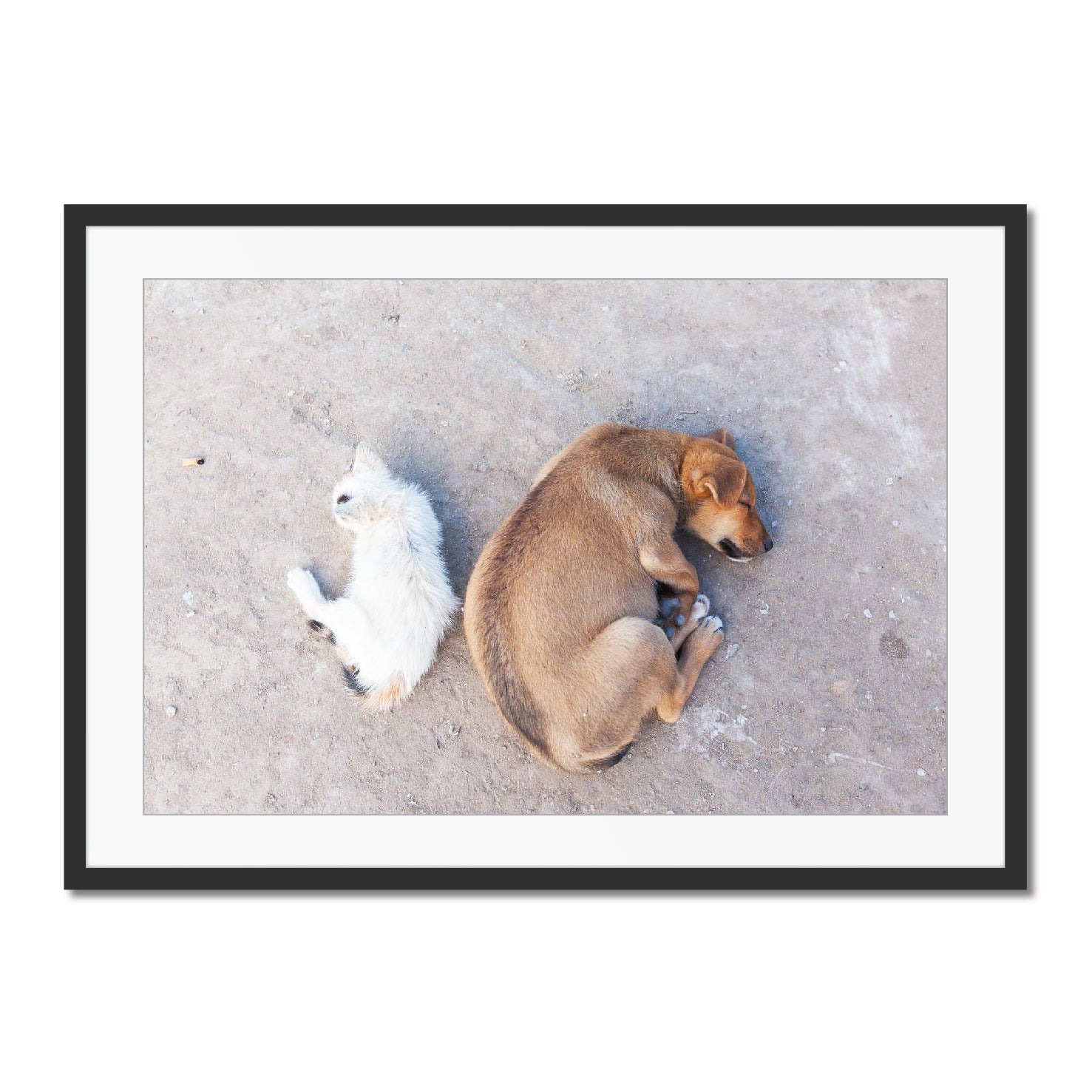 Fez Photographic Print 02