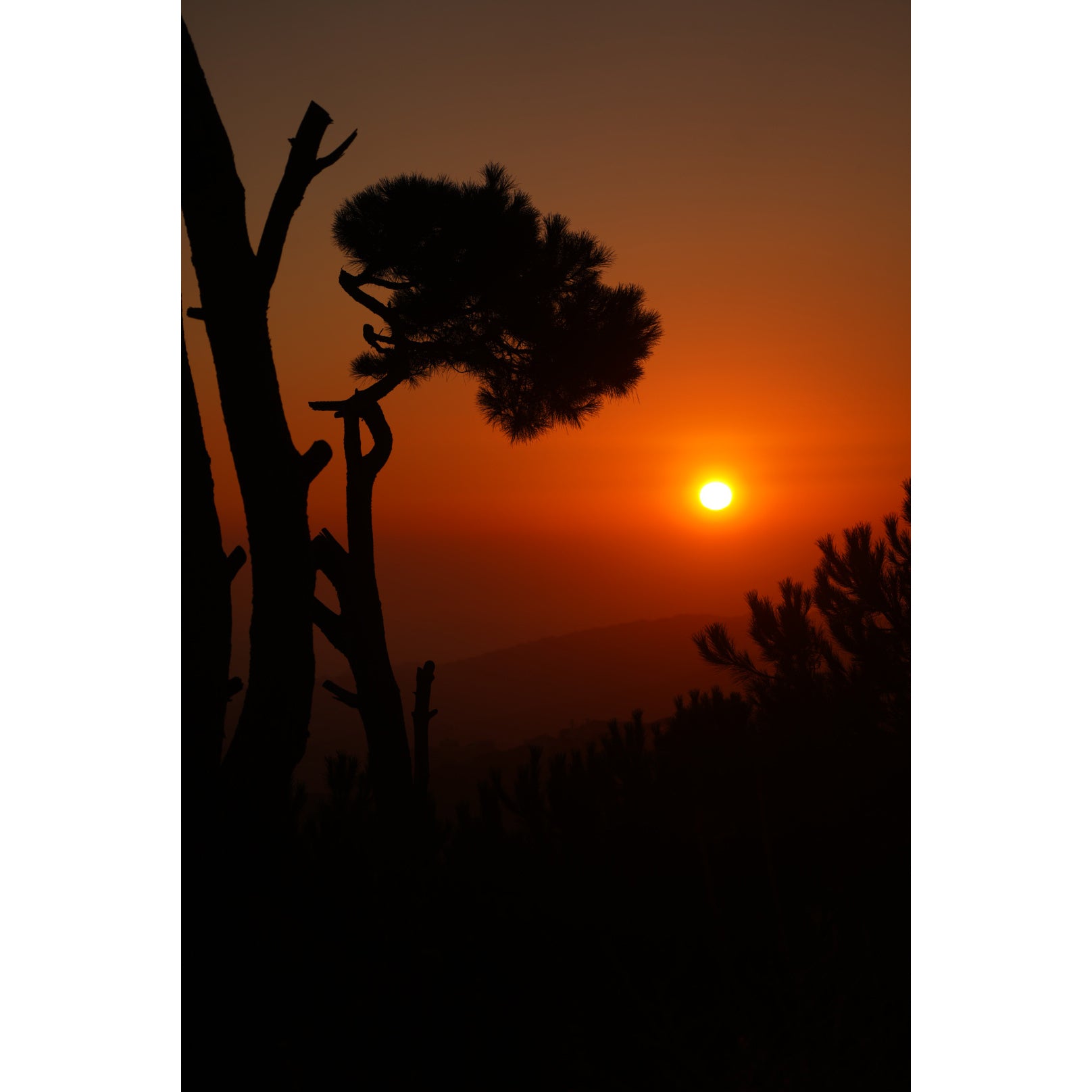 Lebanon Fotoğraf Baskı
