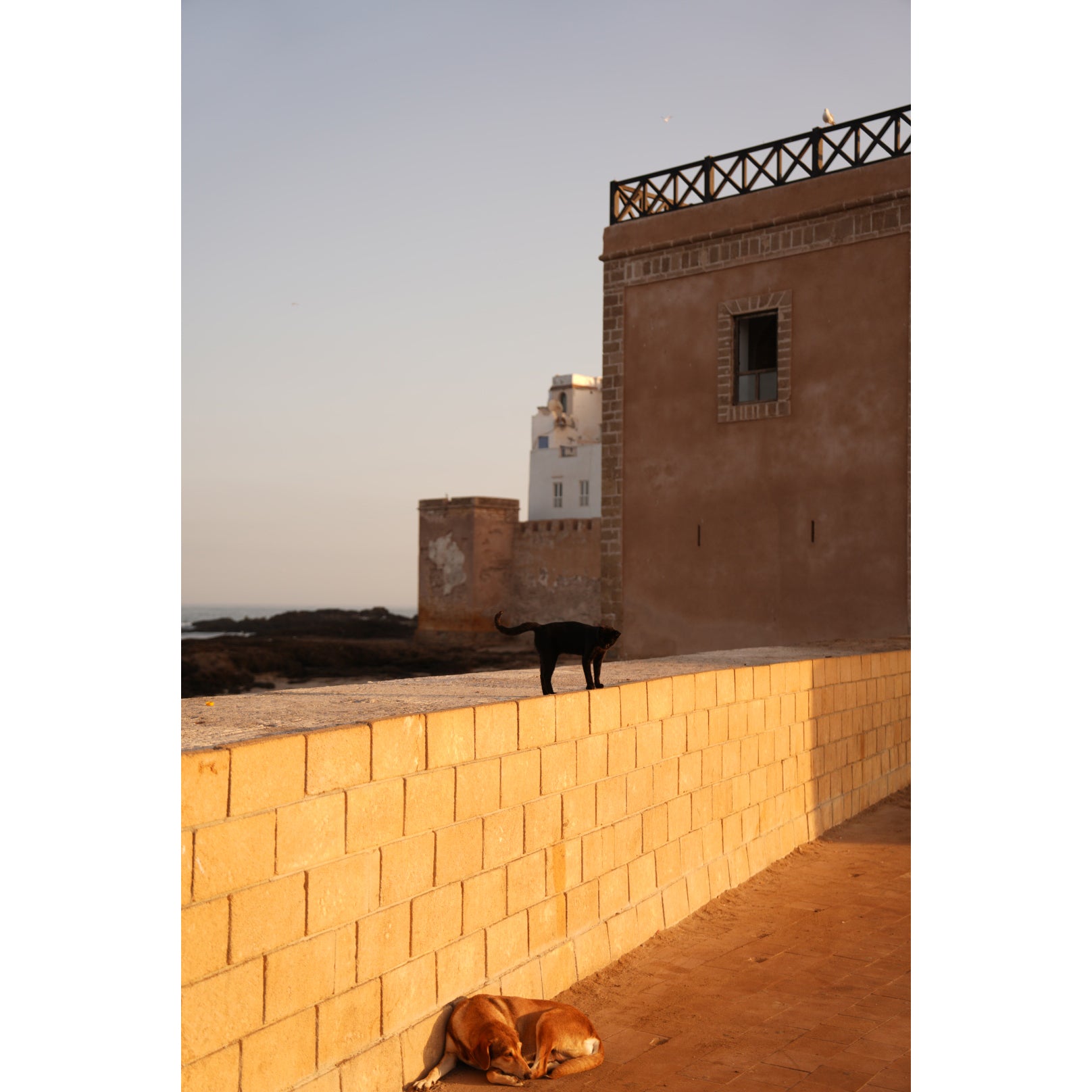 Essaouira Fotoğraf Baskı