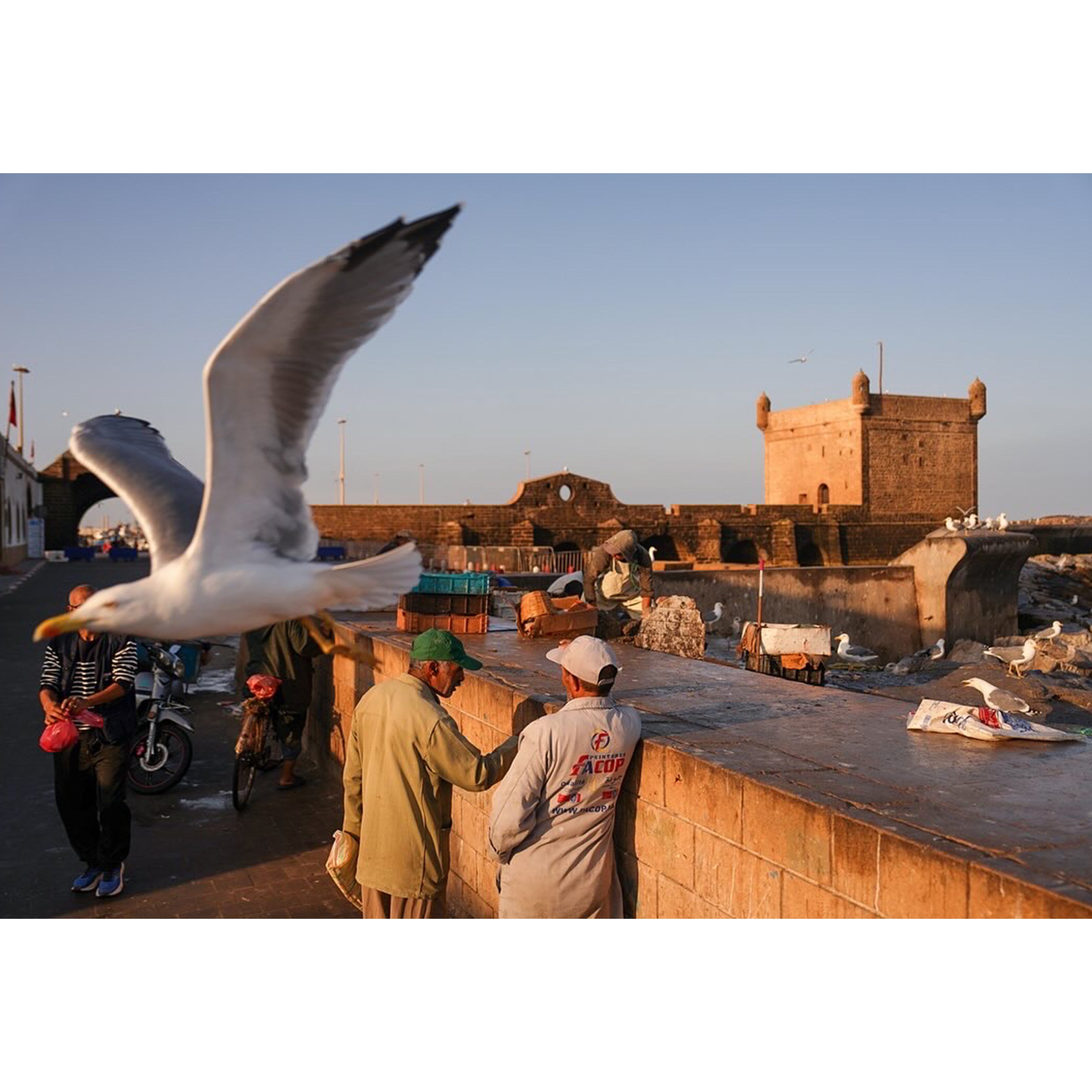 Essaouira Fotoğraf Baskı